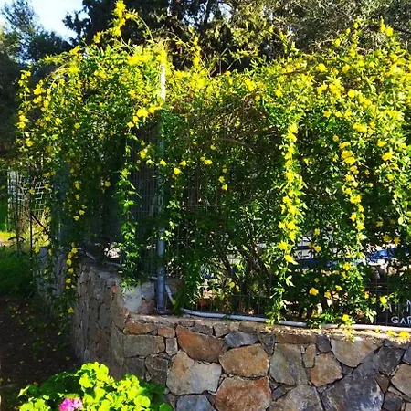 Dom wakacyjny Anna's Garden House Chania (Crete)